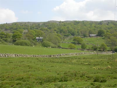 Area 9 - Farming settlements south of Trawsfynydd (PRN 18275)