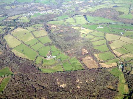 COED MAWR