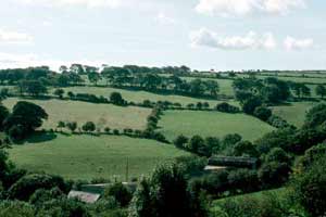 Crossway – Glanpwllafon