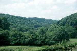 Dyffryn Bargoed and Dyffryn Esgair