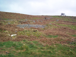 Ty-Newydd character area: post-medieval enclosed agricultural landscape.