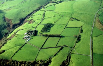 Upland plateau and hill edge south and west of the Clywedog Reservoir with widely dispersed farms of possibly medieval or early post-medieval origin associated with irregular fieldscapes and extensive 19th-century enclosure of former and existing common land; discrete mining landscapes.