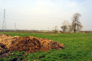 Low-lying back-fen with simpler "intermediate" landscape.