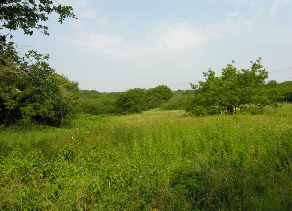 Unenclosed common land: unmanaged scrub; communication routes; water features; and buried archaeology.