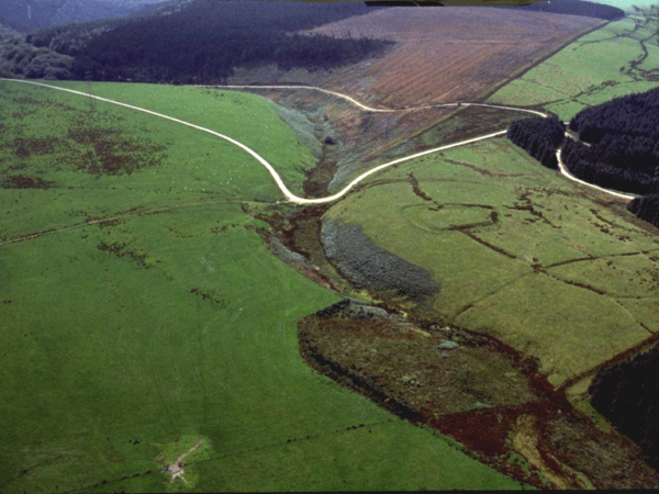 20th century forestry plantation on former open unenclosed mountain; similar to HLCA 010; relict archaeology: funerary and ritual; communication features; accumulation of blanket peat with environmental potential.