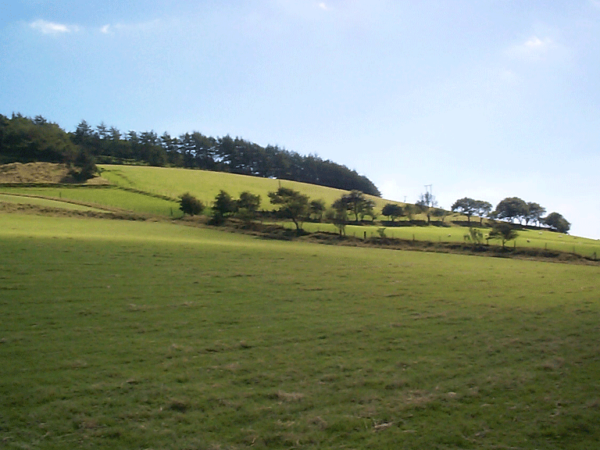 Post-medieval settlement/fields; varied field pattern and distinctive field boundaries; settlement pattern: dispersed and minor ribbon development; minor communications.