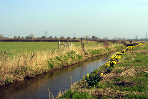 Simpler landscape, laid out within a framework of elements surviving from the Roman landscape.