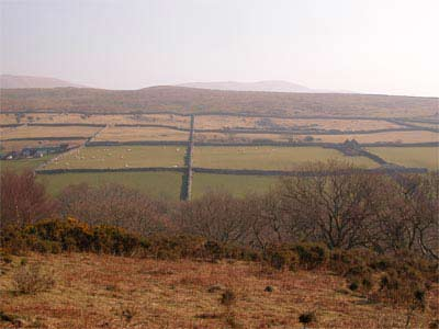Drystone walls, fieldscape, post-medieval houses, relict archaeology