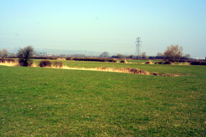 "Regular landscape" of medieval/post-medieval date in low-lying back-fen.