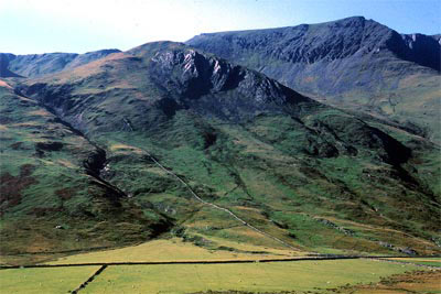 Irregular enclosures