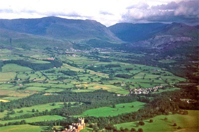 Woodland, Telford road, paths