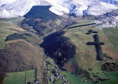 Relict archaeology, woodland