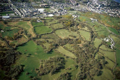 Dispersed settlement