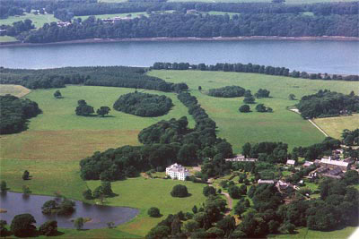 High-status dwelling and associated demesnes