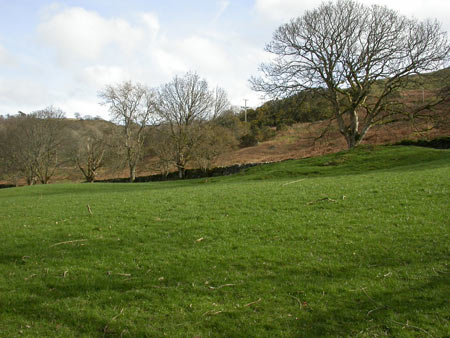Bala and Llyn Tegid - Area 11 Fieldscape above railway (north) (PRN 24711)