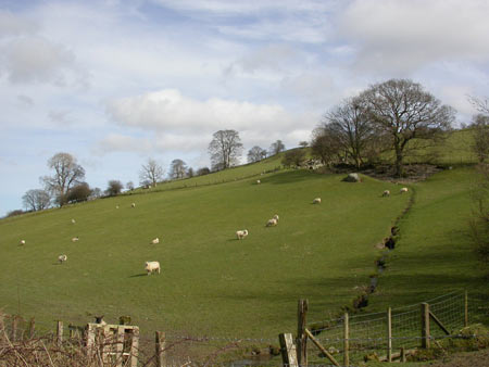 Bala and Llyn Tegid - Area 13 Fieldscape above railway (south) (PRN 24713)