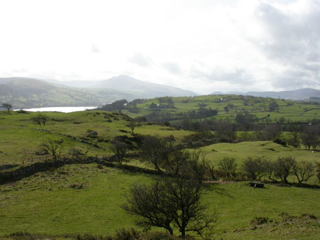 Bala and Llyn Tegid - Area 16 Fieldscape north of Llyn Tegid (PRN 24716)