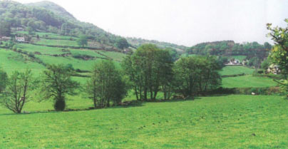 SH 768735 looking north-west. Showing the nature of the rolling, enclosed landscape, with scattered settlement and a more wooded appearance which includes both hedgerows as well as areas of woodland