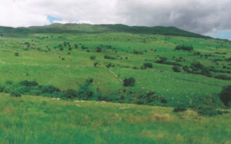 SH 740715 looking north. Showing the nature of the enclosed yet expansive landscape, containing a wealth of upstanding relict archaeological remains, with open uplands (area 9) beyond