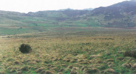 Area 20 Unenclosed mountain PRN 15818