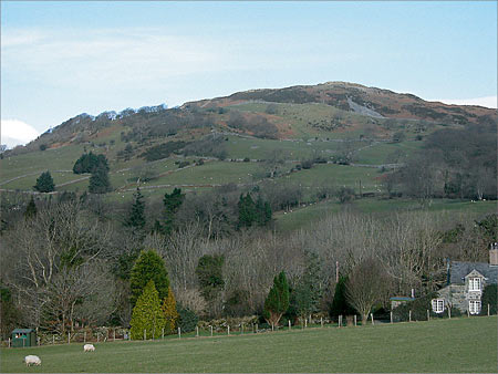 Irregular enclosures, field barns
