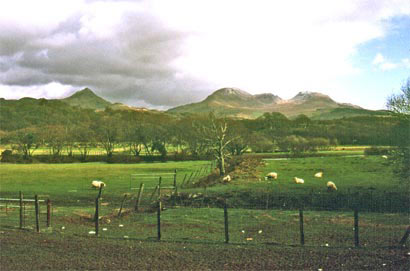 This small area at the top of the area of reclaimed Traeth and at the former mouth of the Afon Glaslyn, contains a number of small, but significant sub-medieval buildings and is characterised by ancient oak woodland growing on small rocky knolls.