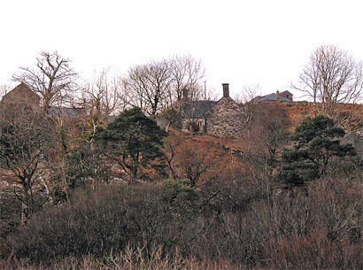 Post-medieval unit houses; early gardens