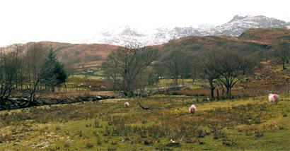 Improved pasture, unenclosed hillslopes, woodland