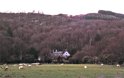 Wooded slopes