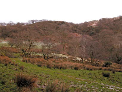 Woodlands, field patterns, industrial remains