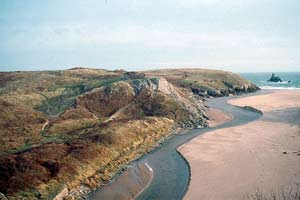 Stackpole Warren consists of a plateau of wind-blown sand perched on the edge of high limestone sea cliffs. Several important prehistoric settlement and ritual sites are located here.