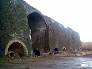 Cyfarthfa iron Works and Associated Features character area: important early ironworks with surviving remains.