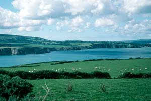 Newport to Dinas Island Coastal Strip