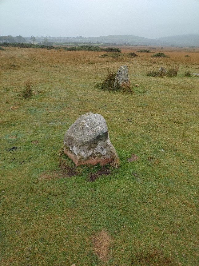 A low standing stone at Gors Fawr stone circle with patches of disturbed ground around its base, with additional stones visible in the background of the moorland landscape.
