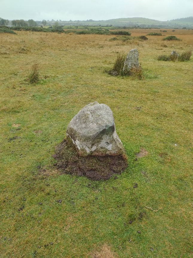 A standing stone at Gors Fawr stone circle with freshly disturbed soil around its base, set within open moorland with other stones visible in the background.