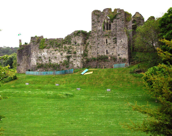 A large medieval stone castle ruin covered with patches of ivy, standing on a grassy slope with scattered trees around it.